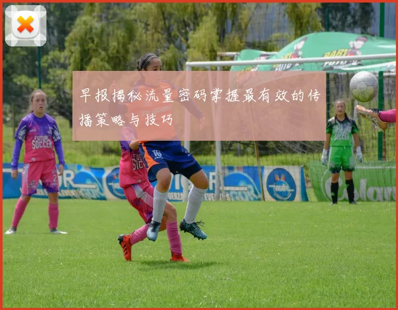 早报揭秘流量密码掌握最有效的传播策略与技巧