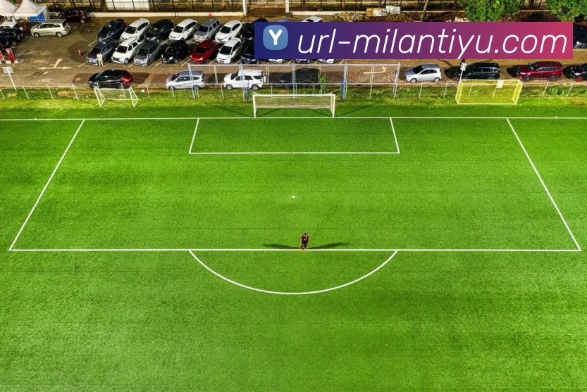 多媒体互动体验