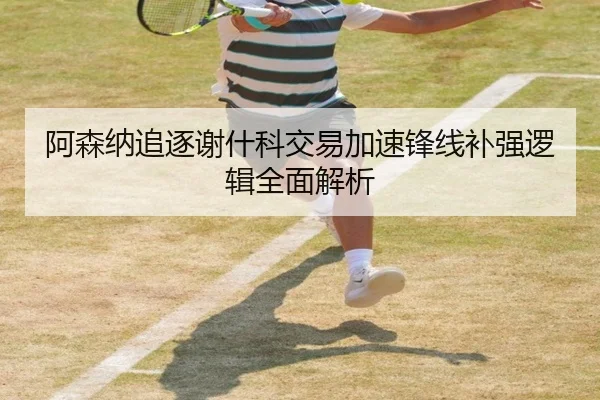 阿森纳追逐谢什科交易加速锋线补强逻辑全面解析